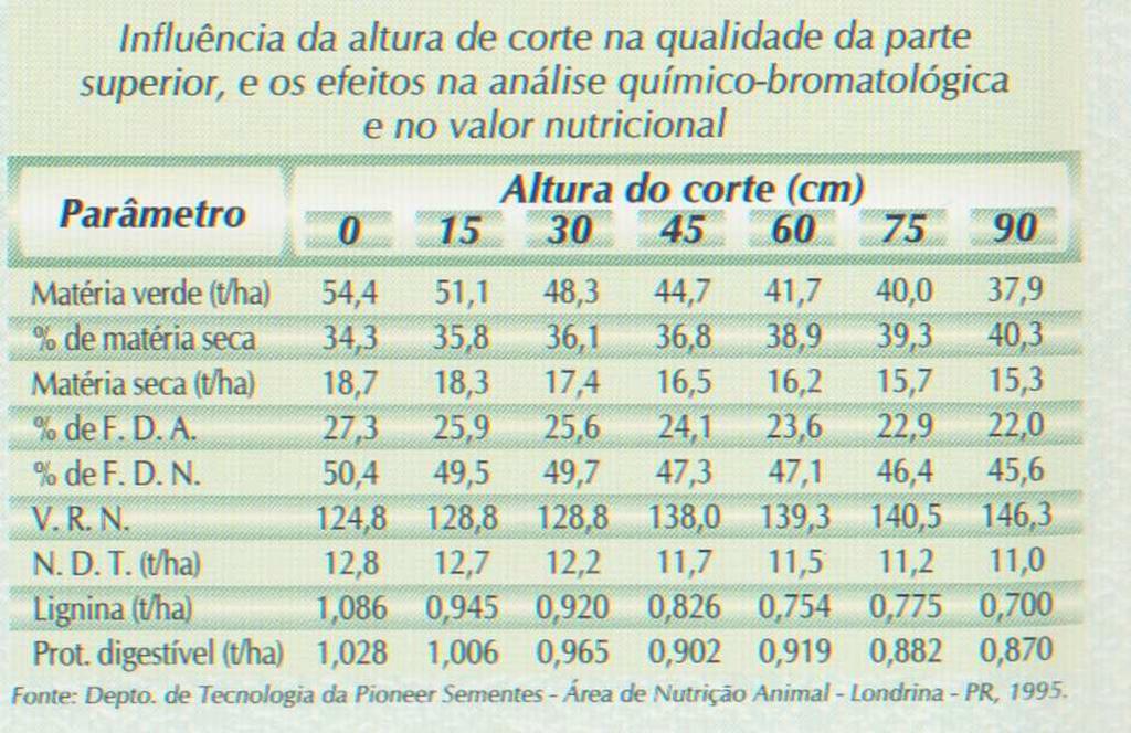 Tamanho da Partícula Compactação Consumo Fermentação