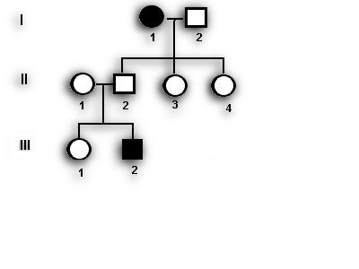 Alguns dados sobre a família A família representa em grupo social primário; um grupo de pessoas ligadas por descendência, a partir de