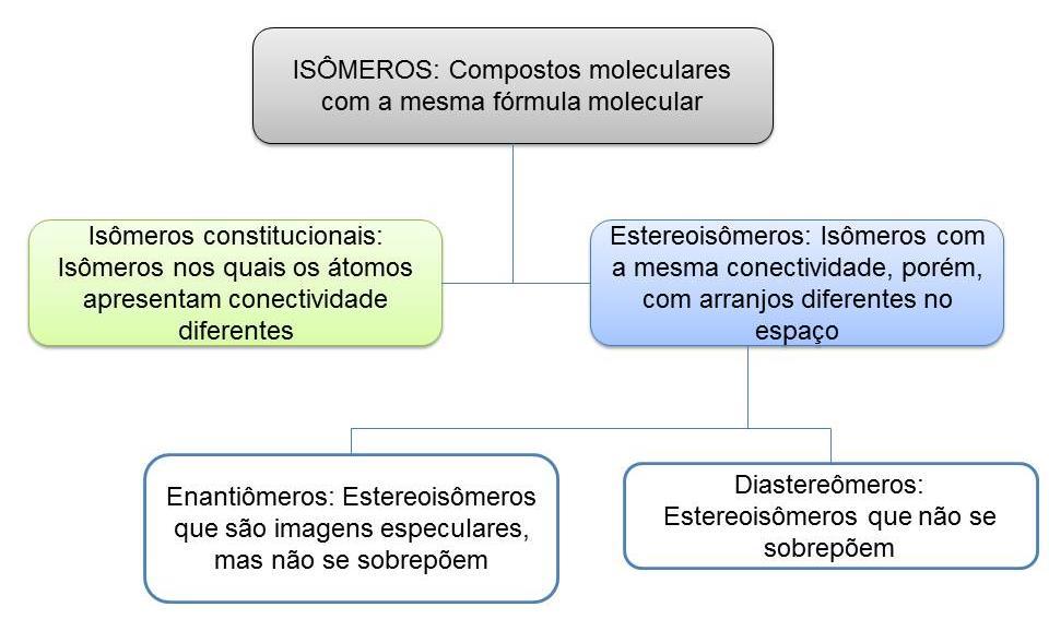 Com o intuito de formar cidadãos críticos quanto à sociedade em que vivem, consideramos importante que os estudantes tenham conhecimentos sobre estes conceitos.