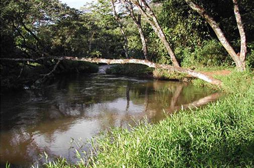 stream (N), Mogi-Guaçu river basin, São Paulo State. Figura 5. Trecho inferior do rio Quilombo (), cerca de 9 km da sua foz no rio Mogi-Guaçu. a) rápido; e b) remanso. Figure 5.