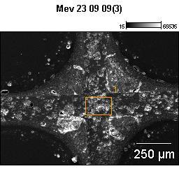 O aspecto típico, obtido por microscopia óptica, de catalisadores automotivos virgens (A) e usado