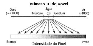 INTRODUÇÃO 11 Para um feixe de raios-x de 12 kvp, os valores positivos e negativos de HU correspondem a coeficientes de atenuação do tecido maior ou menor que μ.