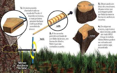 sentidos humanos Variavéis dendrométricas da árvore Na prática, uma operação de medição é afetada por diversas fontes de erro