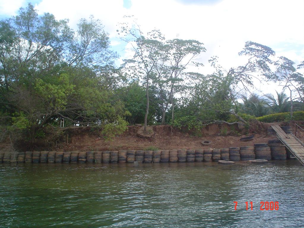 Figura 8 Proteção da ilha com pneus. As flechas destacam as árvores caindo juntamente com as porções do solo que as sustentam.
