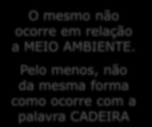 MEIO AMBIENTE e suas representações O mesmo não ocorre em relação a MEIO