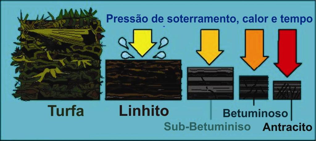 23 Hagemann e Hollerbach (1979) estimam que uma camada de material vegetal de 2 m acumulada em ambiente de pântano, fica reduzida a 30 cm no estágio de turfa e a 10 cm no estágio de carvão.