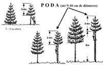 Por ser tratar de uma operação cara, em função da quantidade de mão-de-obra envolvida, a desrama