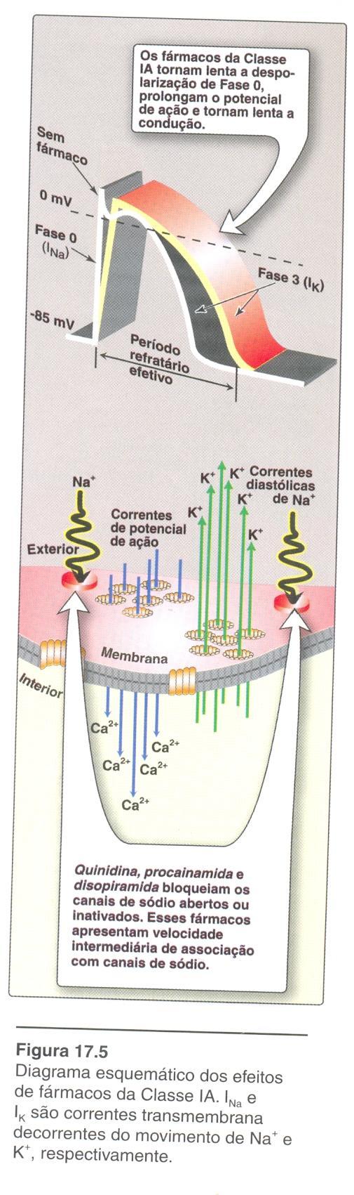 Classe I Bloqueiam canais de sódio voltagemdependentes Classe IA velocidade de