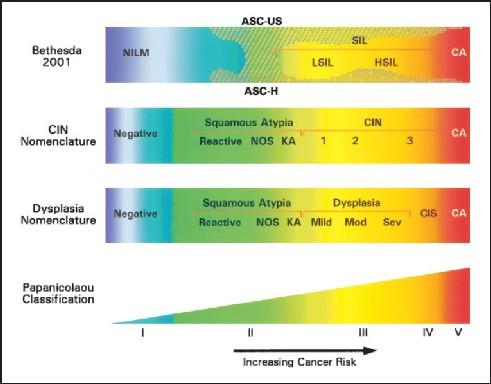 Evolução da terminologia citológica Schiffman M et al.