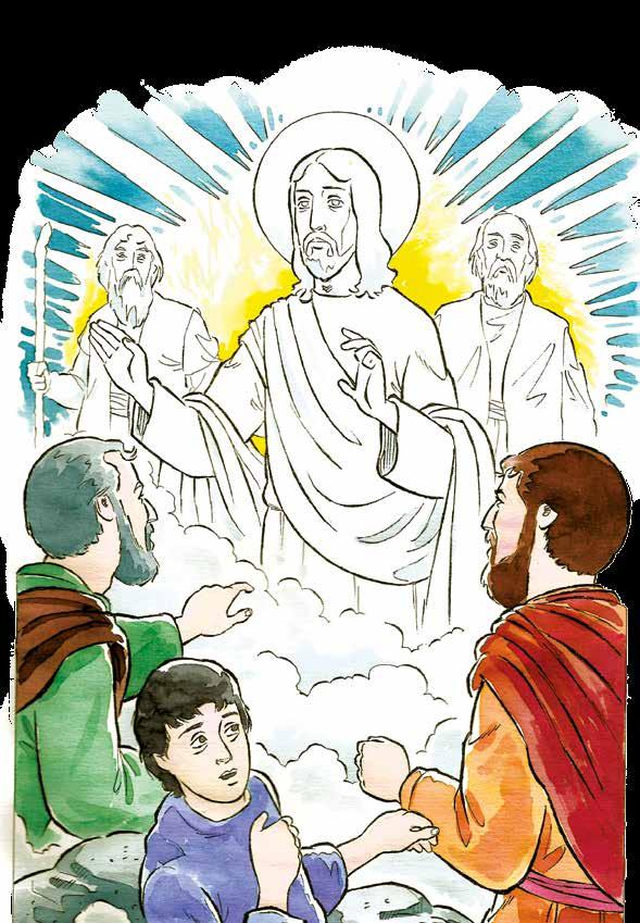Ano A n o 45 6 de agosto de 2017 Transfiguração do Senhor