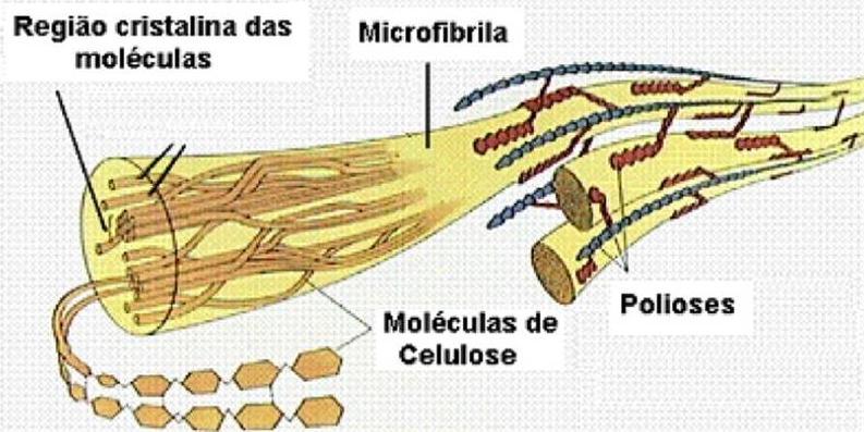 Ilustração esquemática da interação das moléculas de