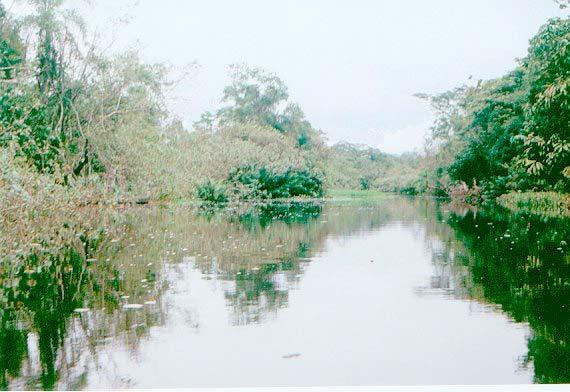 Foto 1: vista geral do Rio Montevidio,