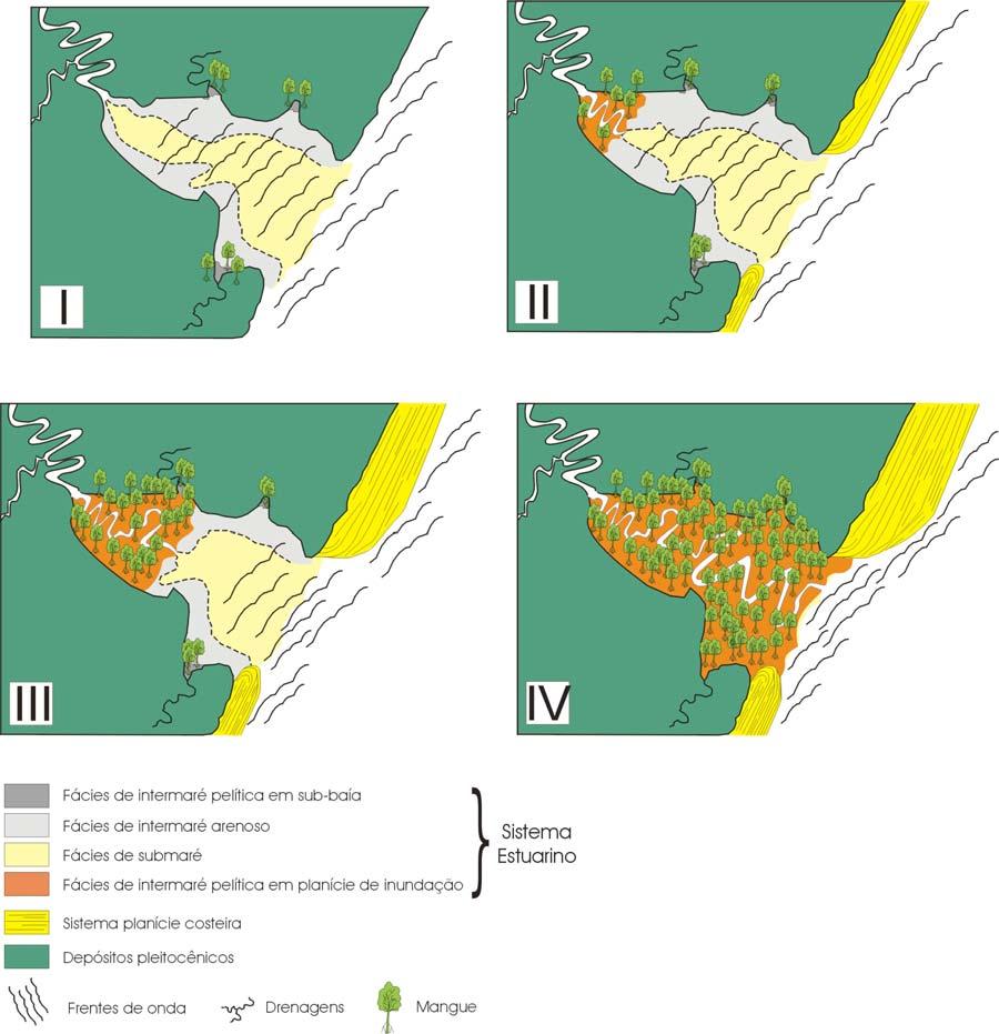 ? Figura 16: Evolução do manguezal do rio Itanhaém. A Figura 16 apresenta uma síntese da hipótese elaborada para interpretar a evolução do manguezal do rio Itanhaém.