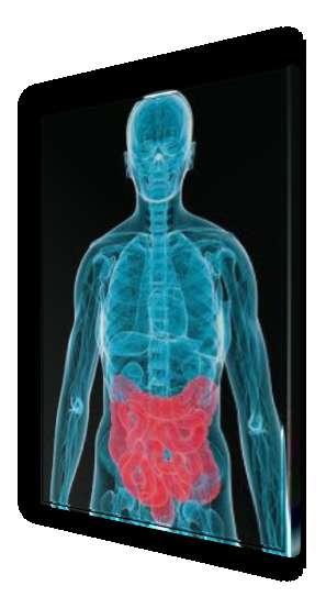 Maioria dos estudos: descritivos (catalogar o microbioma, saúde/doença) Alvo Trato Gastrointestinal: Principalmente boca e