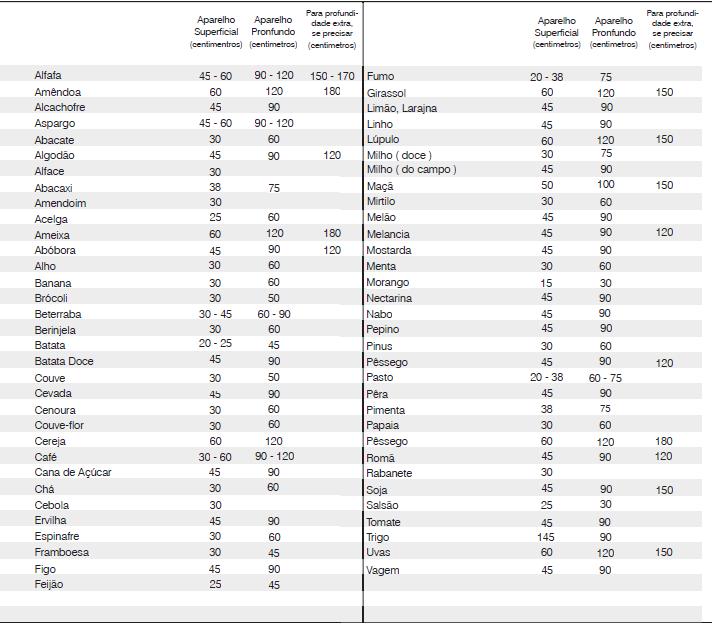 Everton Silva Carvalho, Luis Antonio Oliveira Araujo 327 Tabela 1. Indicação da profundidadde do sensor no solo (tracon 2009). 4.3. Porque irrigar?