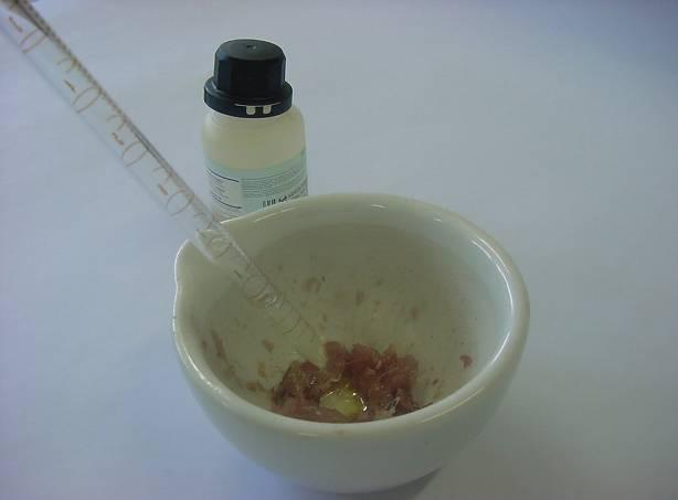 44 3.2.2.3 Prova de Nessler para Amônia (BARTELS, et al., 1971) Colocou-se uma porção da amostra, em uma cápsula de porcelana, cobrindoa com o reagente de Nessler.
