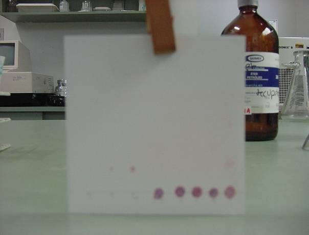 46. Figura 9 - Corrida da cromatografia na avaliação da histamina Após a secagem, pinçou-se a placa pela extremidade superior e aspergiu-se uniformemente com solução de ninhídrina 0,3% em metanol, na
