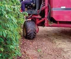 aletas da máquina na colheita do café; Locar os carreadores para manobras com largura de 7 metros para as tracionadas e de 5