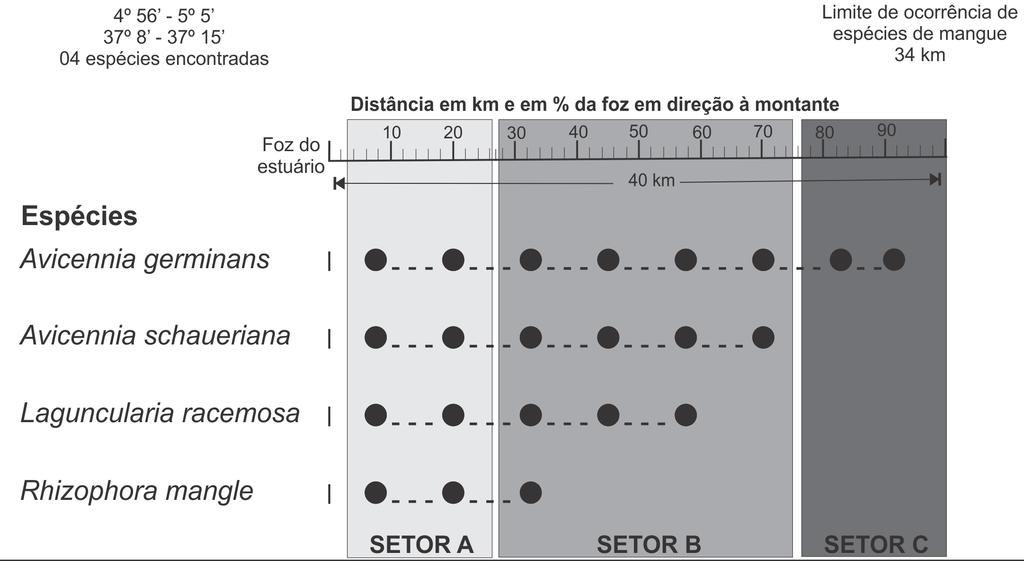 COSTA, D. F. S.; ROCHA, R. M.; CESTARO, L. A. Figura 1 Distribuição das espécies de mangue em três setores ao longo do estuário Apodi-Mossoró (RN).
