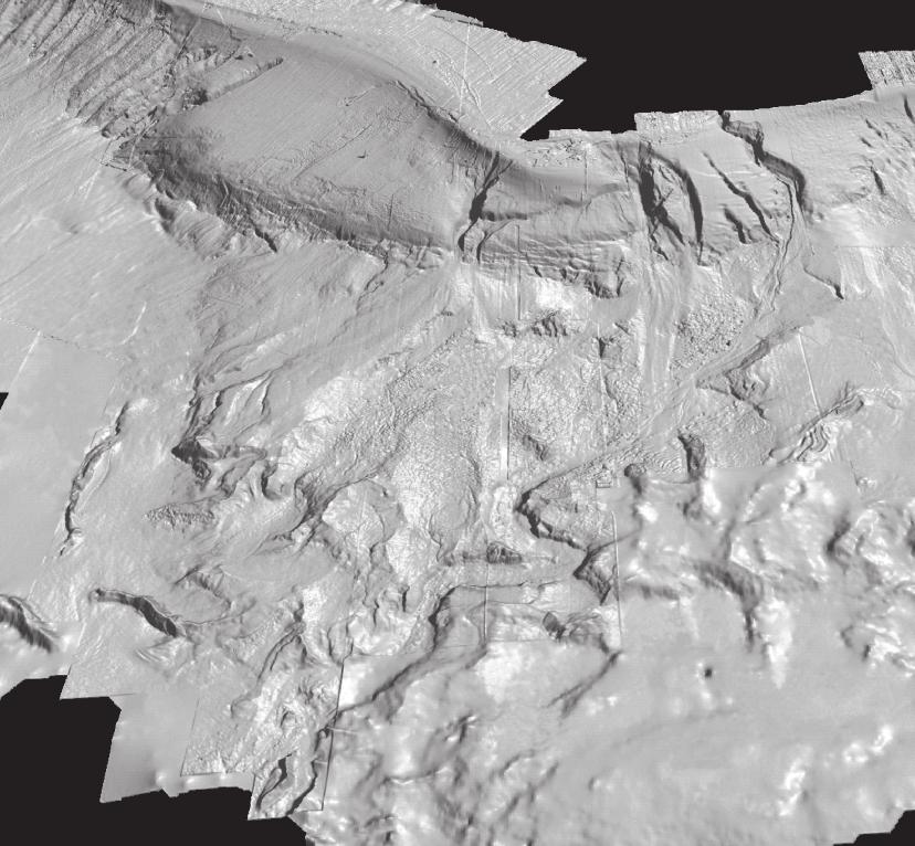 62 GEOMORFOLOGIA DO TALUDE COTIETAL E DO PL ATÔ DE SÃO PAULO Grupo Sudeste de Cânions Plataforma Continental Cânions do Grupo ordeste Talude Continental (Tobogã) Platô de São Paulo Domínio de Regime