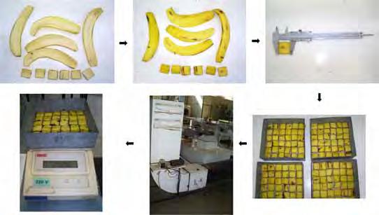 Materiais e métodos 36 3.3.2. Curvas de secagem de casca de banana nanica O experimento de secagem foi realizado no equipamento de convecção forcada mencionado anteriormente.