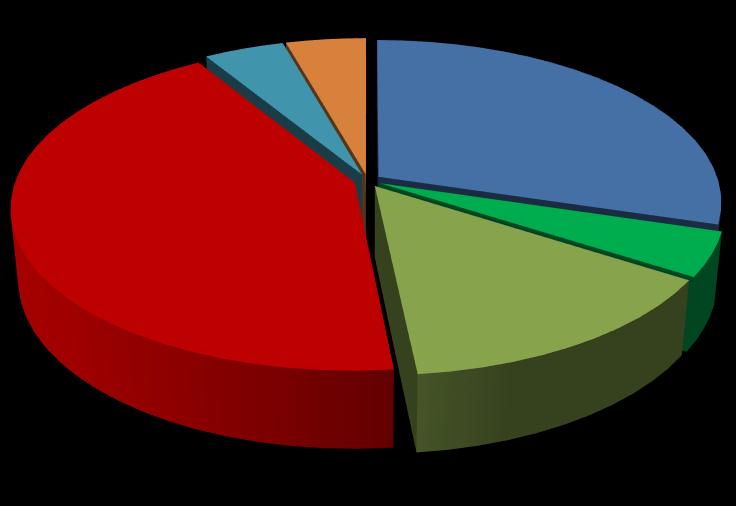 12- Forma de pagamento 43% 4% 4% 30% 5% Dinheiro Débito