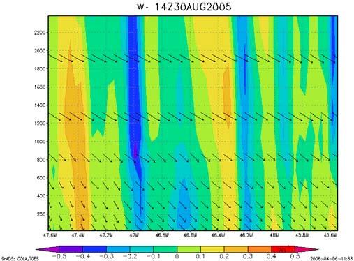 Sabendo-se que o local do experimento localiza-se aproximadamente a uma latitude de 23 o e 33min e uma longitude de 46 o e 44min, pode-se observar na figura 5, que as células de convecção podem