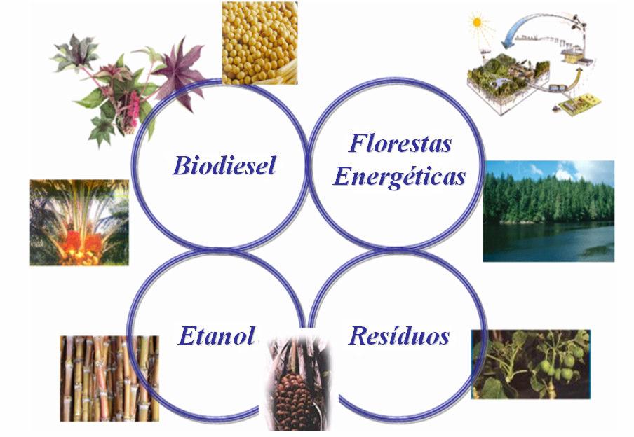 Plataformas de Agroenergia Matérias-primas: 3