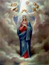 23 5º MISTÉRIO: A COROAÇÃO DE MARIA POR JESUS E OS ANJOS (A serva fiel de Deus tornou-se Rainha) Contemplamos a coroação de Nossa Senhora como Rainha de todos os anjos e santos.