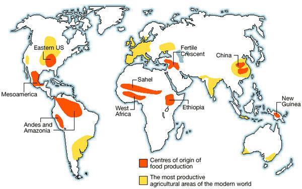 As plantas foram domesticadas em paralelo, em diferentes partes do mundo Trigo, cevada, ervilha e lentilha ~ 13.000 anos atrás Arroz e soja ~ 9.000 anos atrás Arroz e feijão ~ 8.