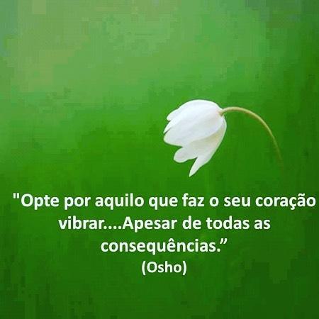 Bons estudos! Vamos que vamos porque 2017 e 2018 esarão recheados de oportunidades! Aguardo você para a nossa próxima aula!