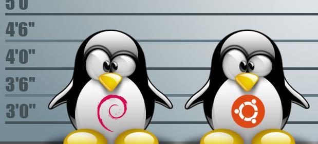 código aberto baseado na distribuição Debian, tendo seu lançamento no ano de 2005 pela empresa Canonical que é uma empresa privada, situada no Reino Unido, que tem como fundador Mark Shuttleworth.
