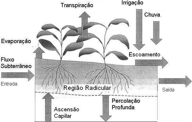 ISSN 1808-6810 Balanço hídrico em fruteiras 82 Circular Técnica Bento Gonçalves, RS Setembro, 2010 Autores Marco Antonio F. Conceição Eng. Agr., Dr.