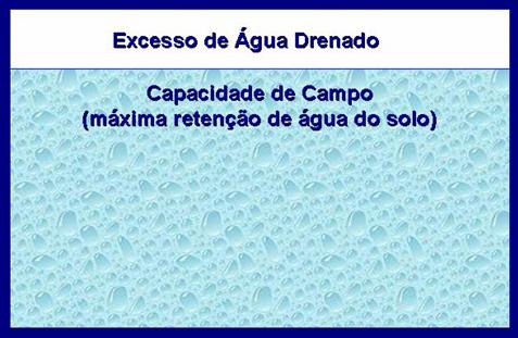 No presente trabalho, são apresentadas as características do balanço da água no solo em fruteiras, com base na metodologia apresentada pela FAO (ALLEN et al., 1998).