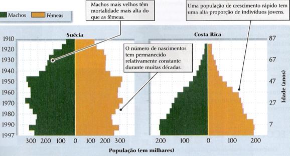 Estrutura