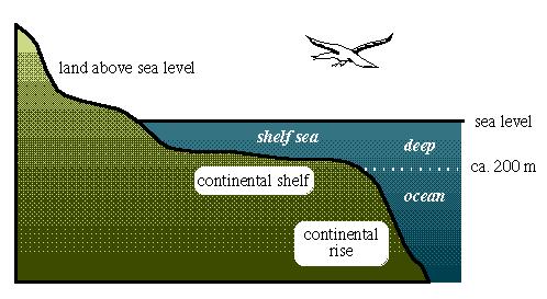 Região costeira Caracterização Condições oceanograficas da região costeira Presença da costa como uma condição de contorno para o fluxo; Região de profundidade limitada sobre a plataforma