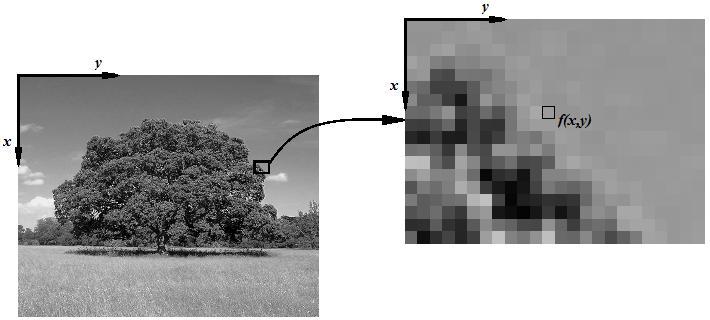 25 Figura 2: Ilustração do processo de amostragem Após ser digitalizada, a imagem se torna uma função bidimensional da intensidade da luz, representada por f(x, y), na qual os valores de x e y são