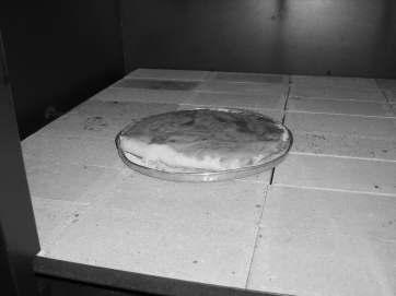 OBSERVAÇÕES GERAIS - Para assar calzone recomenda-se uma temperatura menor do que a usualmente utilizada no assado de pizzas, pois o calzone possui massa mais grossa do que a pizza e se for assado em