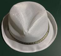 R$ 0,80 Chapeu SS05023P