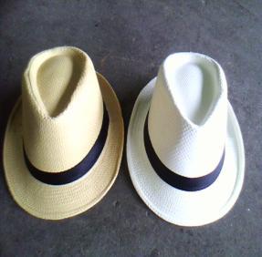 SS05069 6 240 R$ 1,90 Chapeu