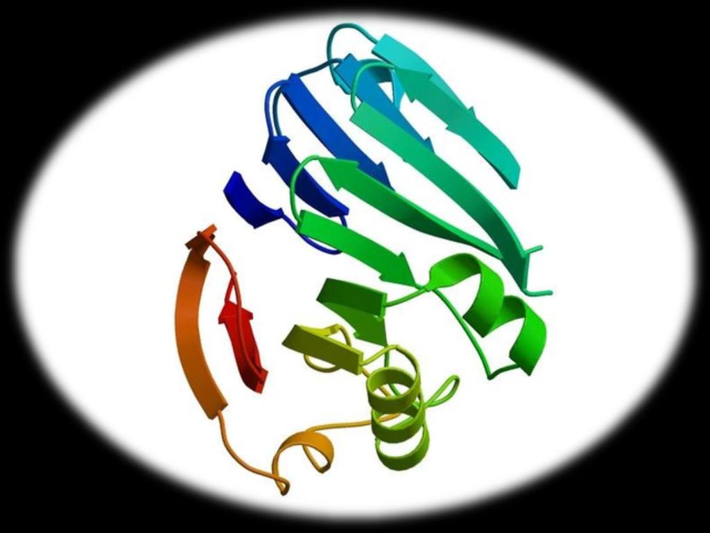 -Lactamases -Lactamases ESBL (340 tipos) AmpC -lactamases