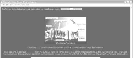 Aprendizagem com textos Figura 3 Exemplo de aprendizagem com figuras O mesmo conteúdo poderá ser adaptado para ser apresentado ao aprendiz somente com textos, conforme o exemplo da figura 4.