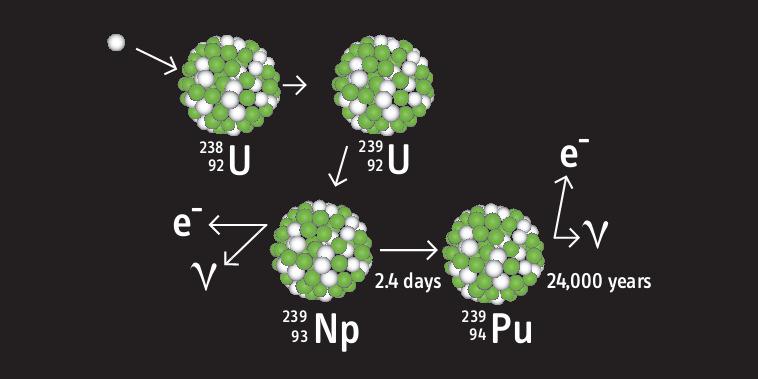 Produção de Plutónio num Reactor Nuclear Um neutrão libertado pela fissão de U235 é absorvido pelo U238 originando U239 que decai para Neptuno que por sua vez decai, em poucas