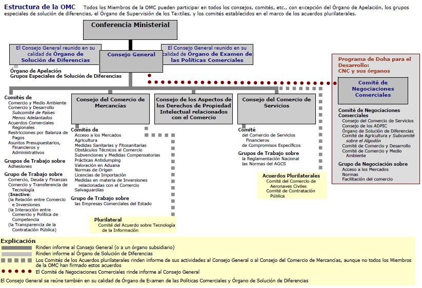 Estrutura da Organização