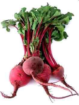 3) TUBEROSAS: