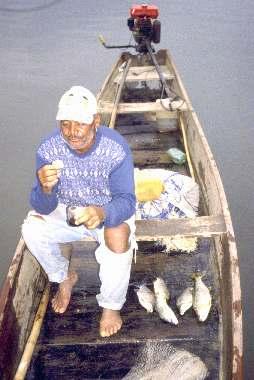 Em 1987, cada pescador apanhava cerca de 12 kg de peixe por dia de trabalho.