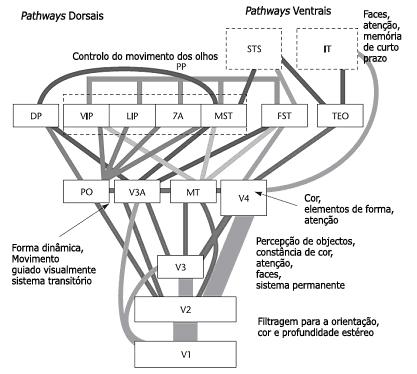 1. Contextualização Nos dias de hoje, são cada vez mais comuns conjuntos de dados de elevada dimensão e complexidade, para os quais os métodos tradicionais de visualização e análise de dados se