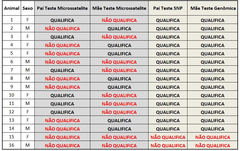 QUEM É O