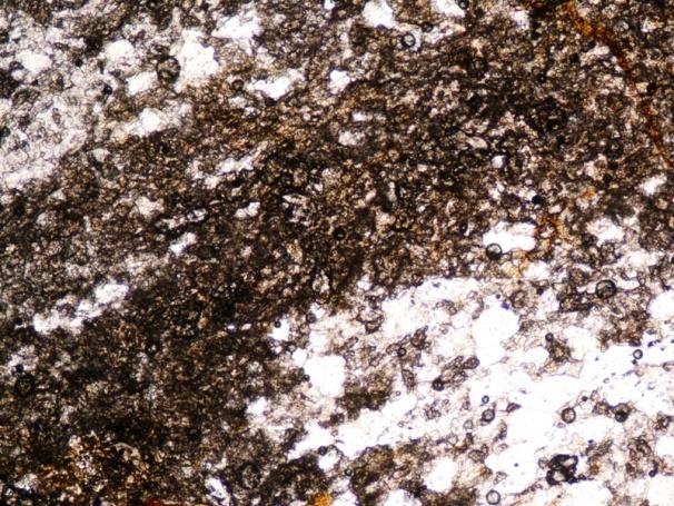 Mineralogicamente, esta lâmina é constituída por quartzo, plagioclase, clinozoisite, esfena, anfíbola, granada, clorite e óxidos e hidróxidos de ferro.