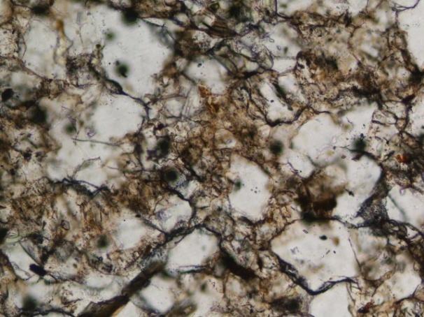 contraste com uma zona de textura granolepidoblástica e com abundância de biotite e clorite (parte inferior).